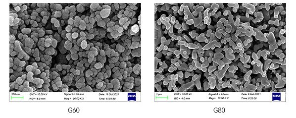 Ambition Materials Photo-oxidative Degradation Masterbatch model G SEM picture